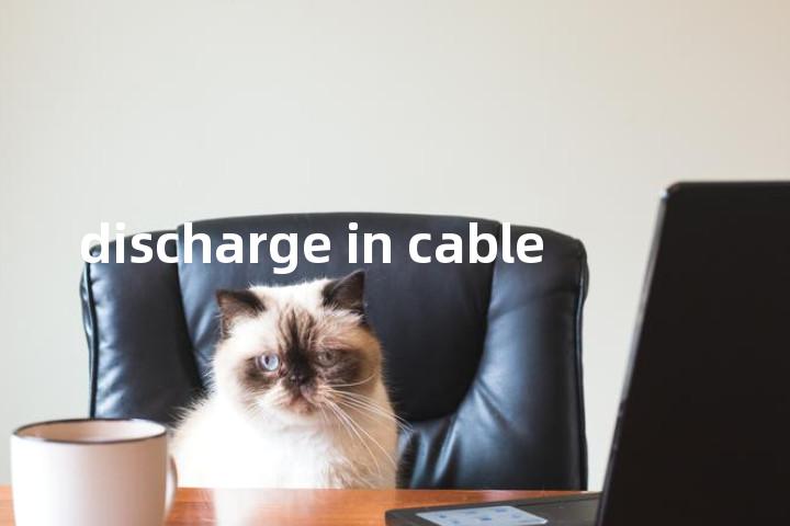 discharge in cable单词图解，单词释义场景配图