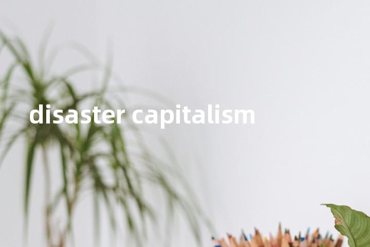 disaster capitalism单词图解，单词释义场景配图
