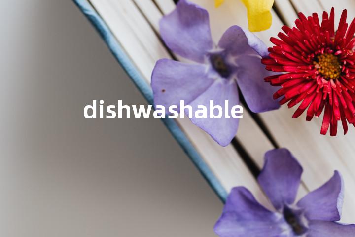 dishwashable单词图解，单词释义场景配图