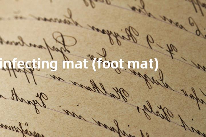 disinfecting mat (foot mat)单词图解，单词释义场景配图