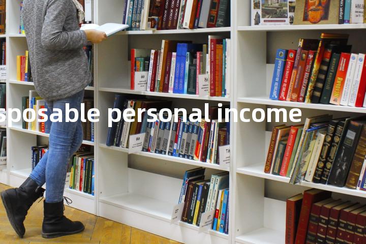 disposable personal income单词图解，单词释义场景配图