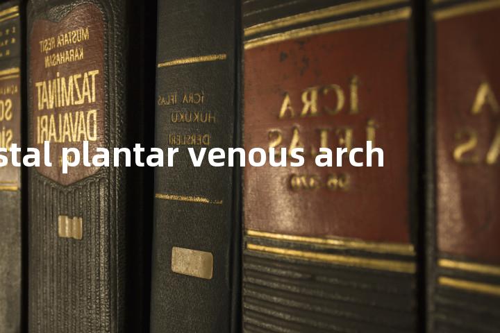 distal plantar venous arch单词图解，单词释义场景配图