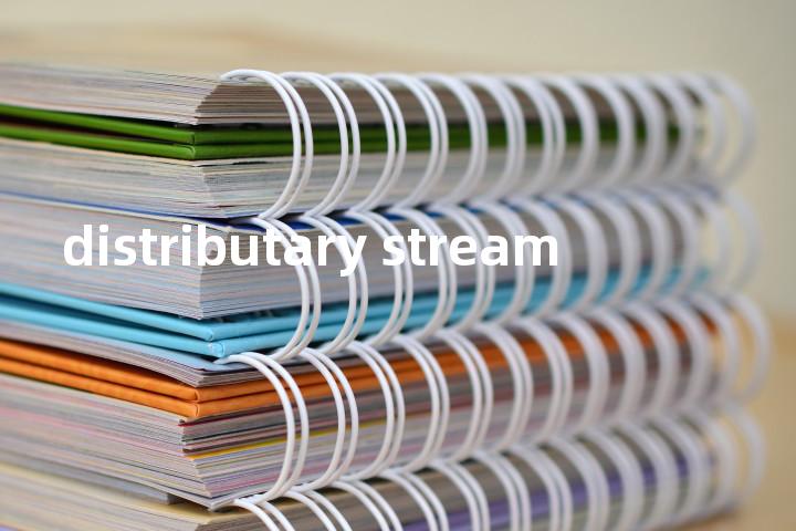 distributary stream单词图解，单词释义场景配图