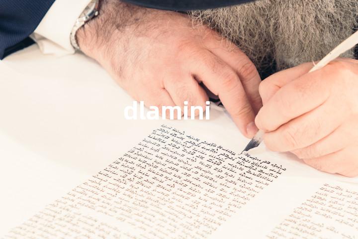dlamini单词图解，单词释义场景配图