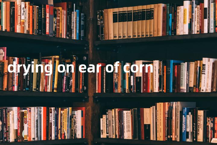 drying on ear of corn单词图解，单词释义场景配图
