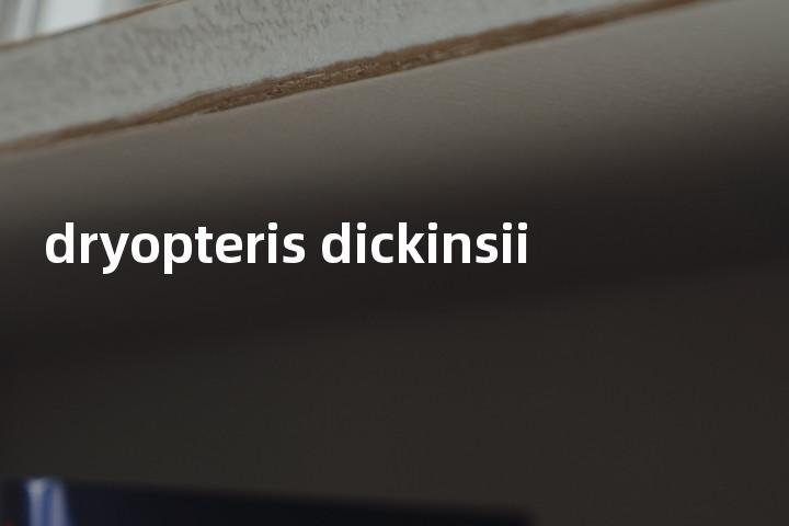 dryopteris dickinsii单词图解，单词释义场景配图