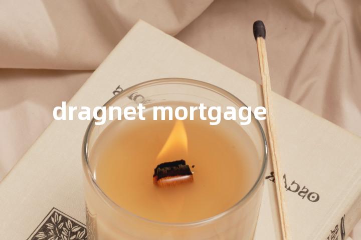 dragnet mortgage单词图解，单词释义场景配图