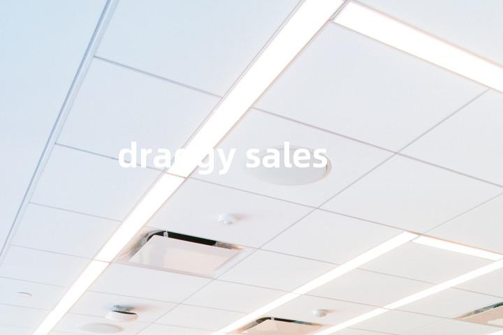 draggy sales单词图解，单词释义场景配图