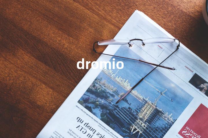 dromio单词图解，单词释义场景配图