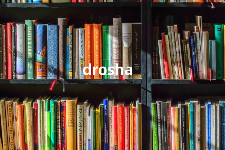 drosha单词图解，单词释义场景配图