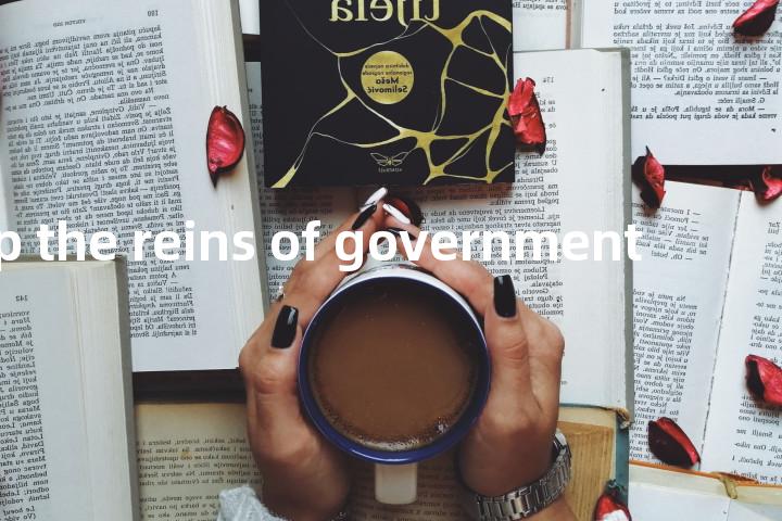 drop the reins of government单词图解，单词释义场景配图