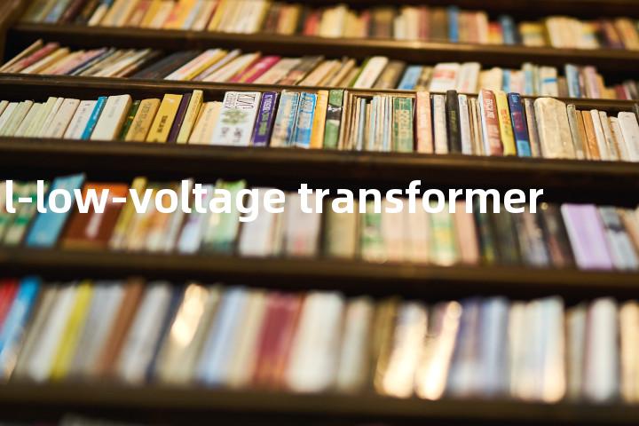 dual-low-voltage transformer单词图解，单词释义场景配图