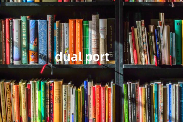 dual port单词图解，单词释义场景配图