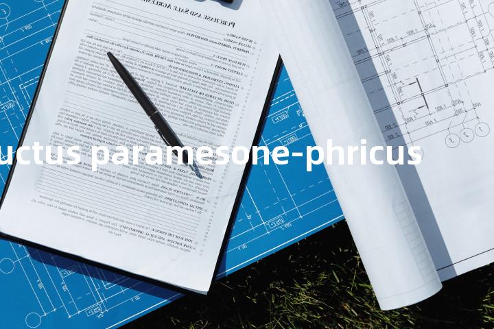 ductus paramesone-phricus单词图解，单词释义场景配图