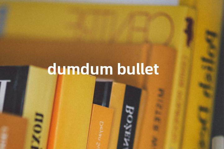 dumdum bullet单词图解，单词释义场景配图