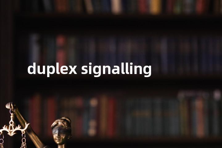 duplex signalling单词图解，单词释义场景配图