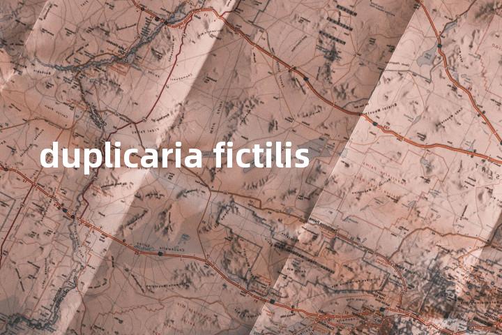 duplicaria fictilis单词图解，单词释义场景配图