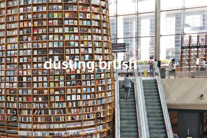 dusting brush单词图解，单词释义场景配图