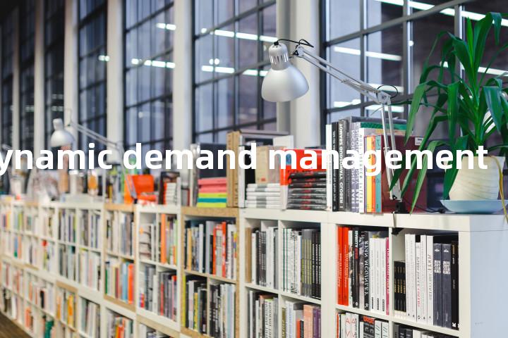 dynamic demand management单词图解，单词释义场景配图