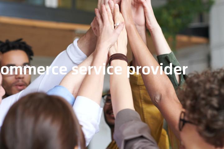 e-commerce service provider单词图解，单词释义场景配图
