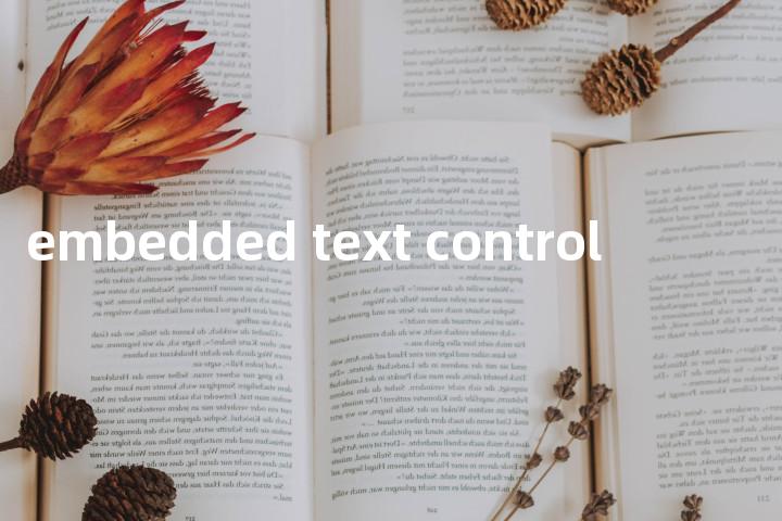 embedded text control单词图解，单词释义场景配图