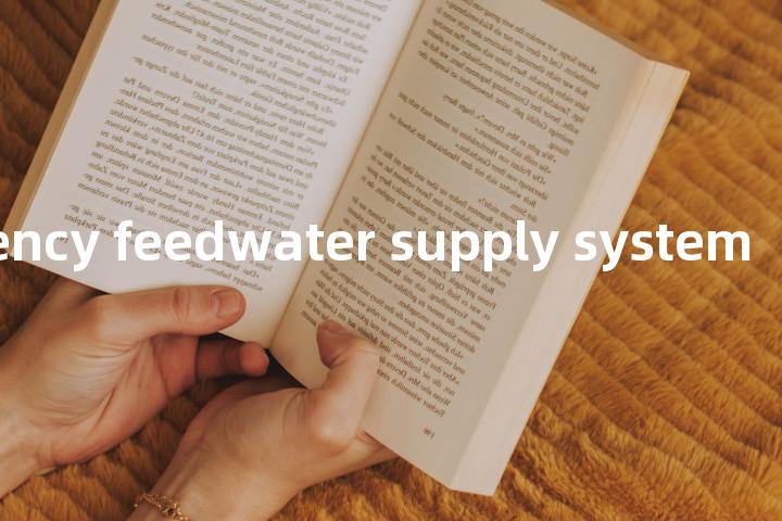 emergency feedwater supply system单词图解，单词释义场景配图