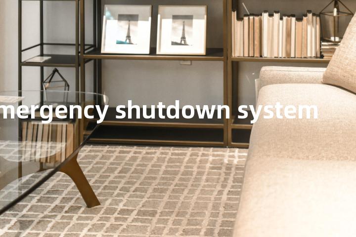 emergency shutdown system单词图解，单词释义场景配图