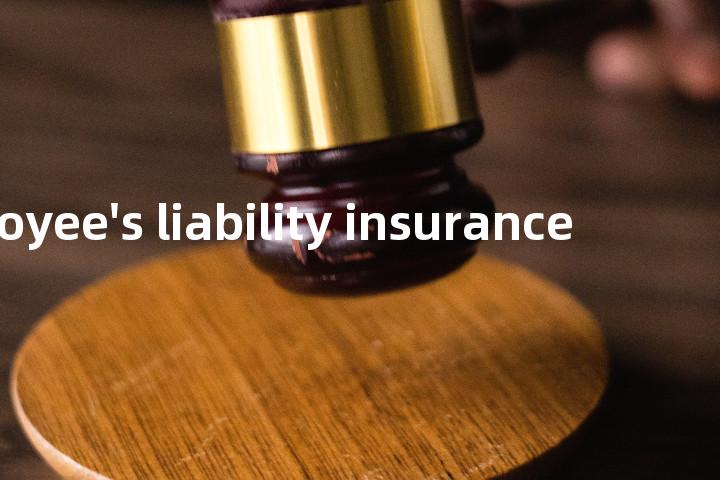 employee's liability insurance单词图解，单词释义场景配图