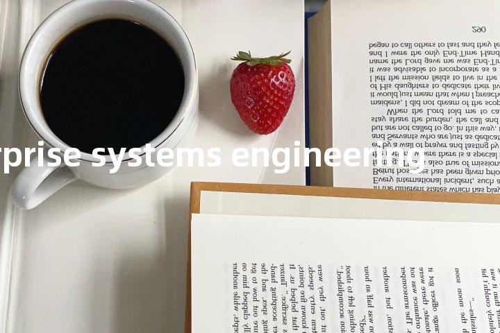 enterprise systems engineering单词图解，单词释义场景配图