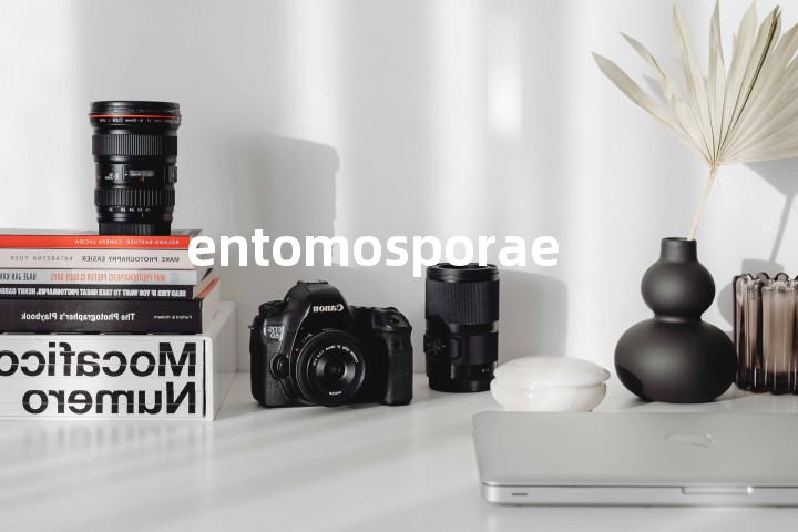 entomosporae单词图解，单词释义场景配图