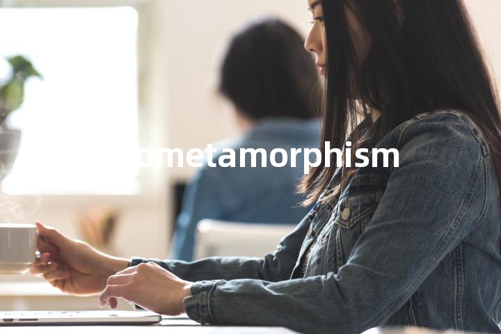 endometamorphism单词图解，单词释义场景配图