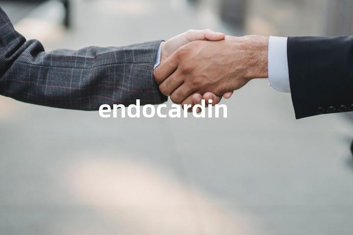 endocardin单词图解，单词释义场景配图