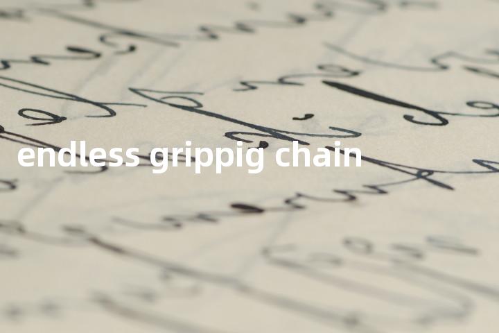 endless grippig chain单词图解，单词释义场景配图