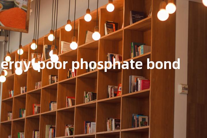 energy-poor phosphate bond单词图解，单词释义场景配图