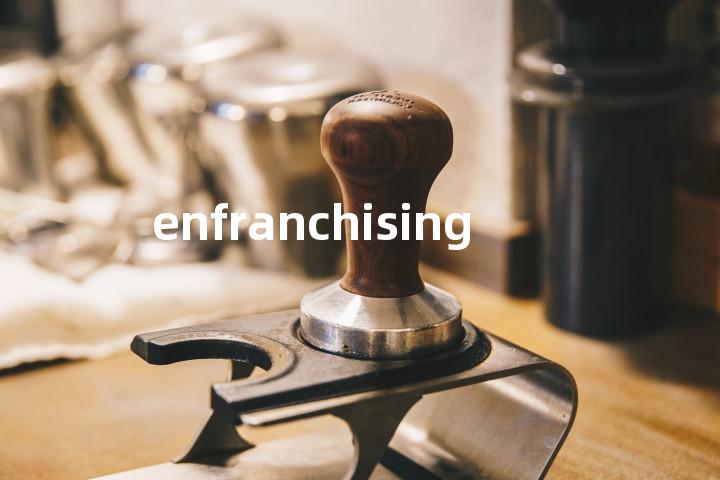enfranchising单词图解，单词释义场景配图