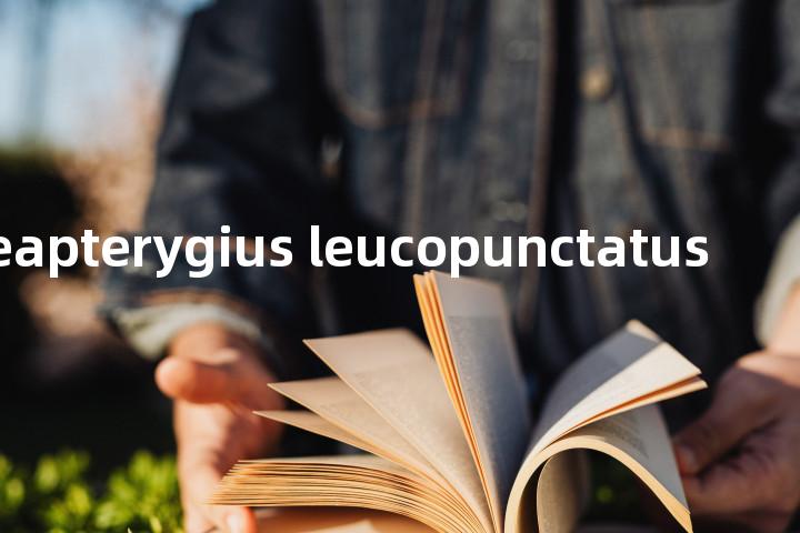 enneapterygius leucopunctatus单词图解，单词释义场景配图