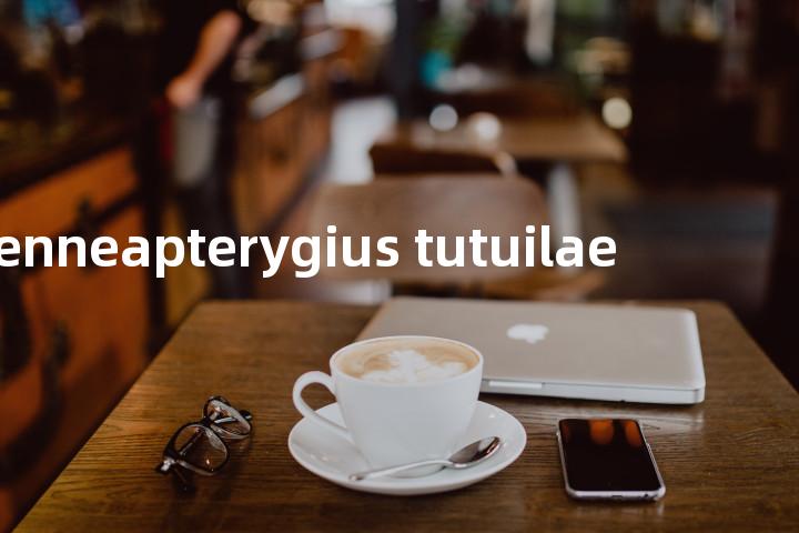 enneapterygius tutuilae单词图解，单词释义场景配图
