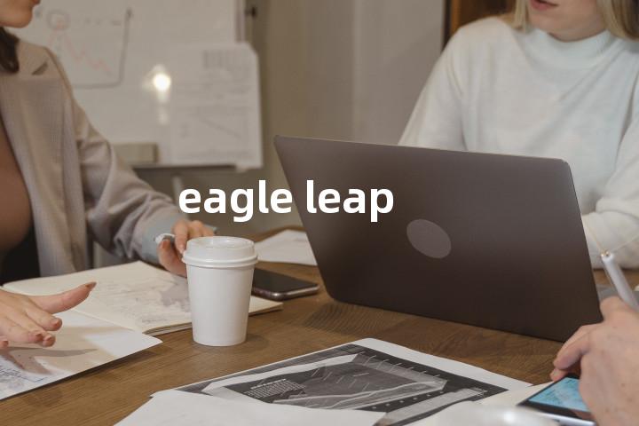 eagle leap单词图解，单词释义场景配图