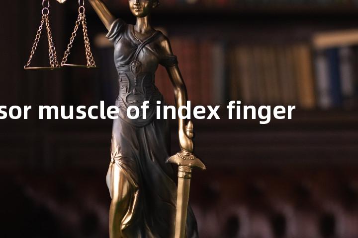 ectensor muscle of index finger单词图解，单词释义场景配图