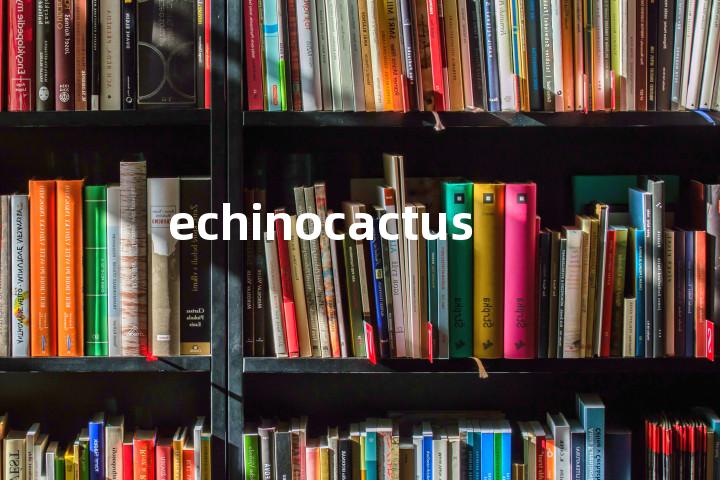echinocactus单词图解，单词释义场景配图