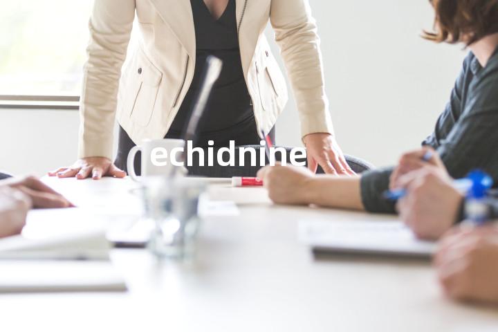 echidnine单词图解，单词释义场景配图