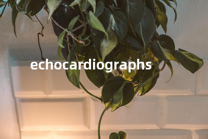 echocardiographs单词图解，单词释义场景配图