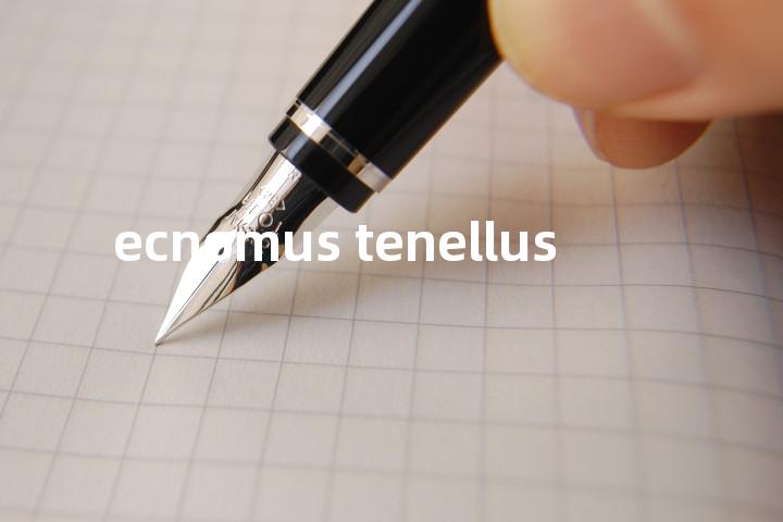 ecnomus tenellus单词图解，单词释义场景配图