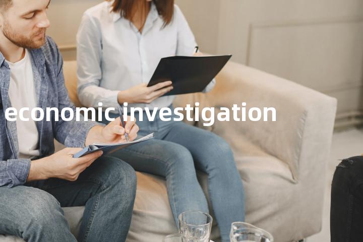 economic investigation单词图解，单词释义场景配图