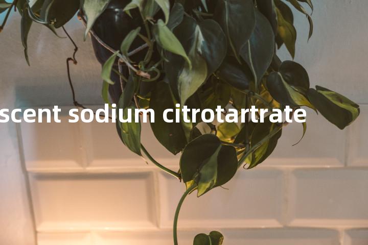 effevescent sodium citrotartrate单词图解，单词释义场景配图