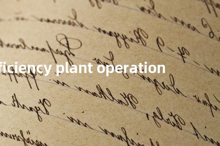 efficiency plant operation单词图解，单词释义场景配图