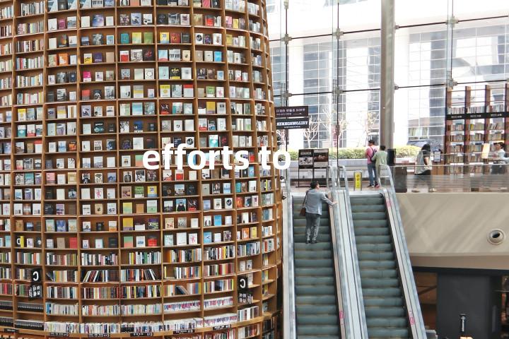 efforts to单词图解，单词释义场景配图
