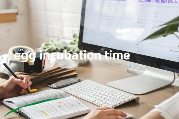 egg incubation time单词图解，单词释义场景配图