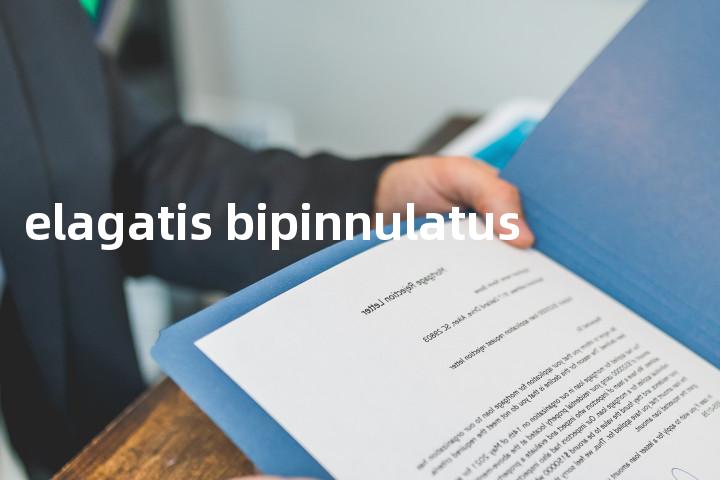 elagatis bipinnulatus单词图解，单词释义场景配图