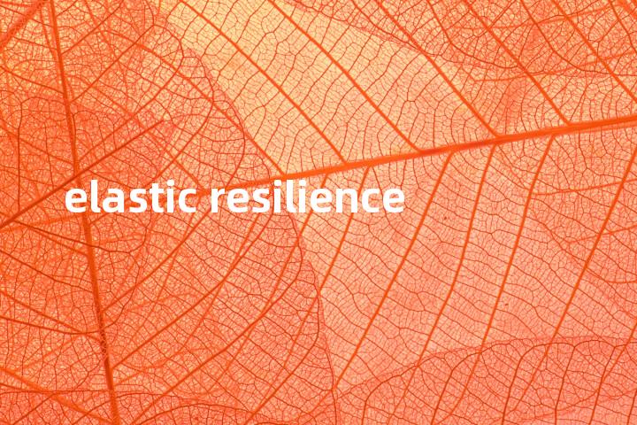 elastic resilience单词图解，单词释义场景配图